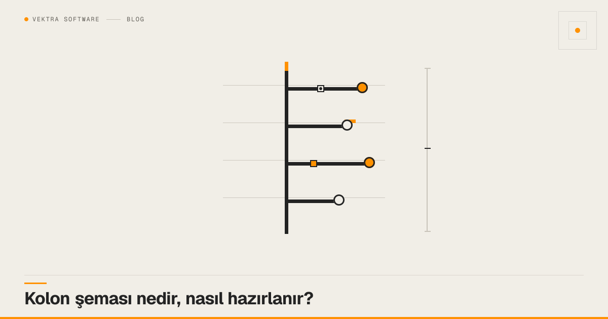 Kolon şeması nedir, nasıl hazırlanır? için kapak görseli — Vektra Software